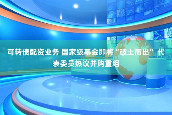 可转债配资业务 国家级基金即将“破土而出” 代表委员热议并购重组
